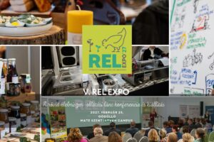 REL EXPO képmontázs